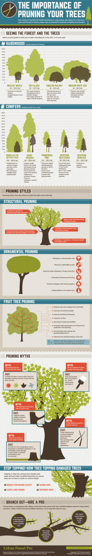UFP_Pruning_Infographic